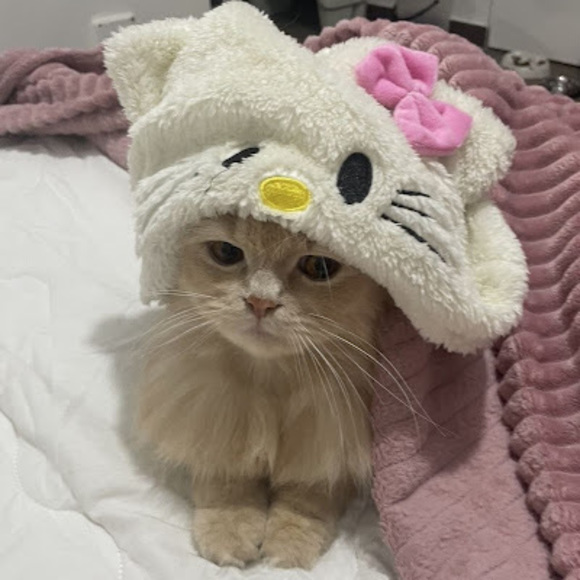amymatran